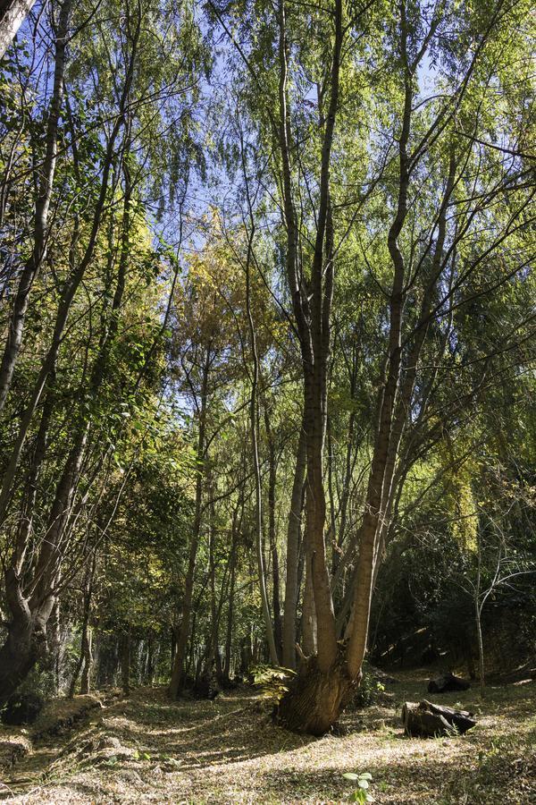 Cabanas El Remanso Tupungato Εξωτερικό φωτογραφία
